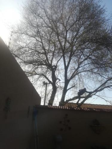 WhatsApp-Image-2022-10-12-at-10.07.42-2